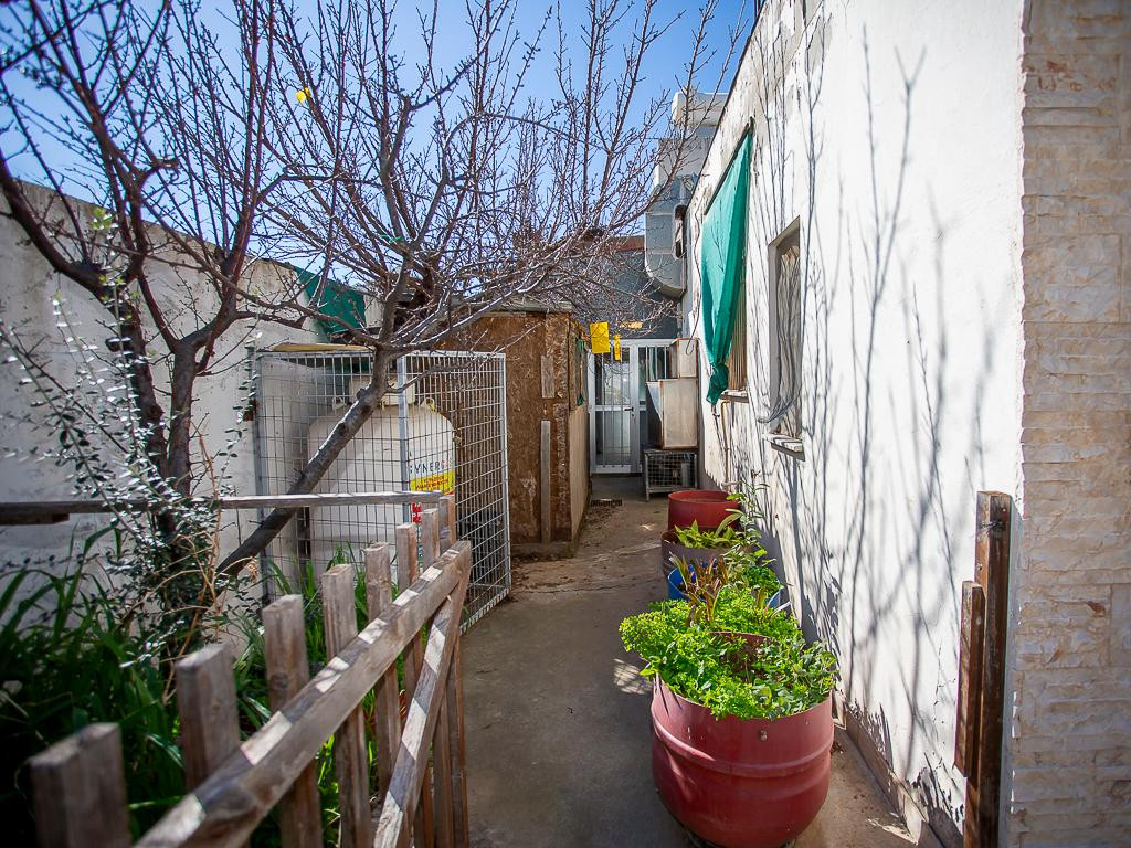 Investment in Palodia, Limassol