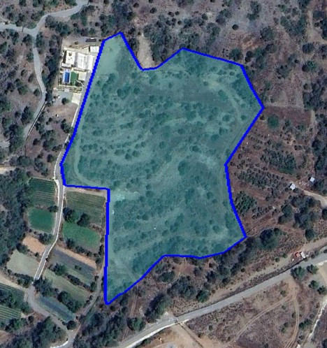 Land in Foinikaria, Limassol