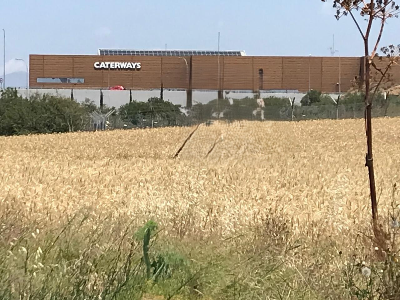 Land in Latsia, Nicosia