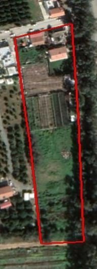 Land in Zakaki, Limassol
