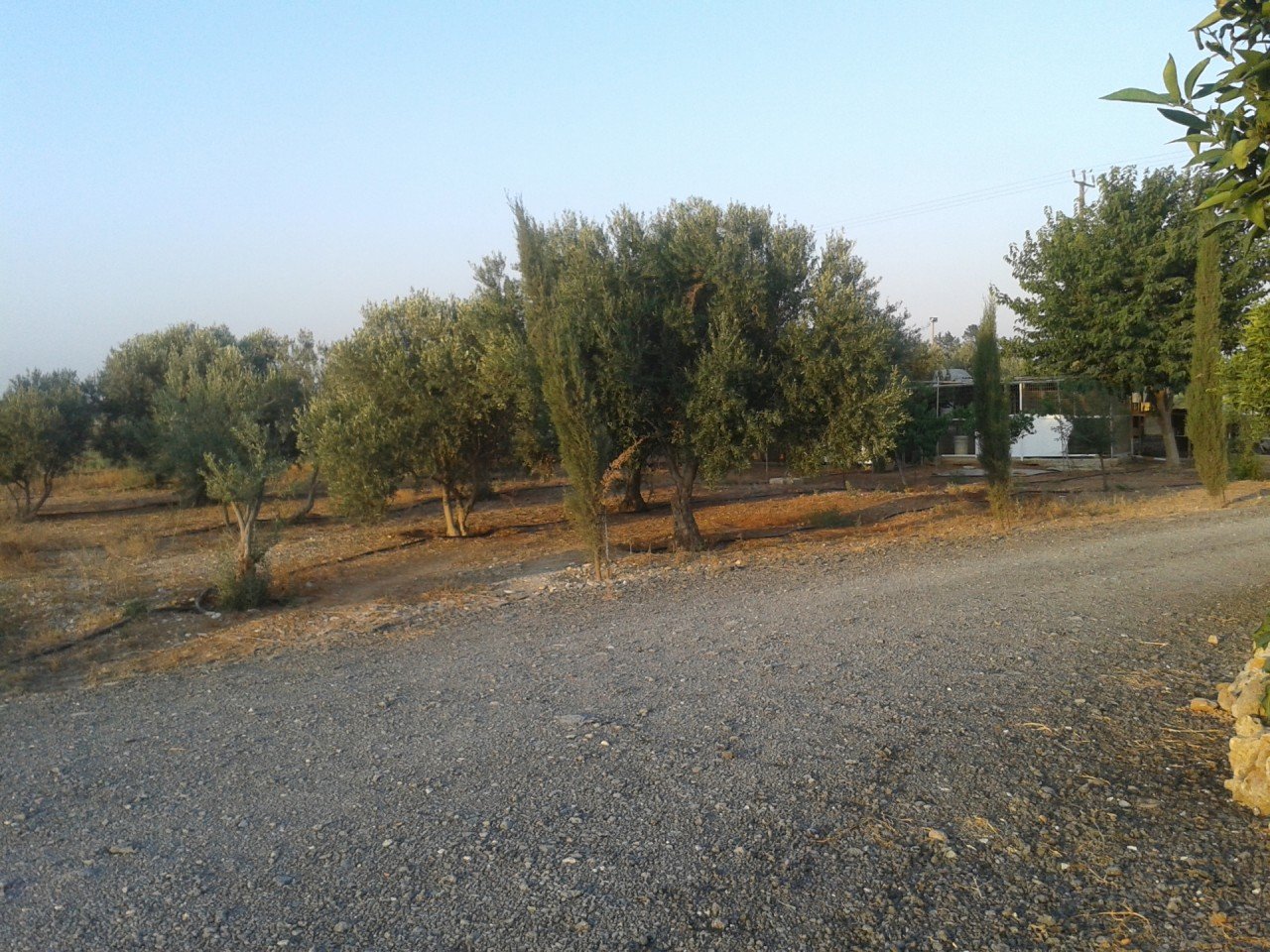 4 Bedrooms House / Villa in Xylotymvou, Larnaca