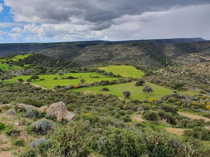 Land in Agia Fyla, Limassol