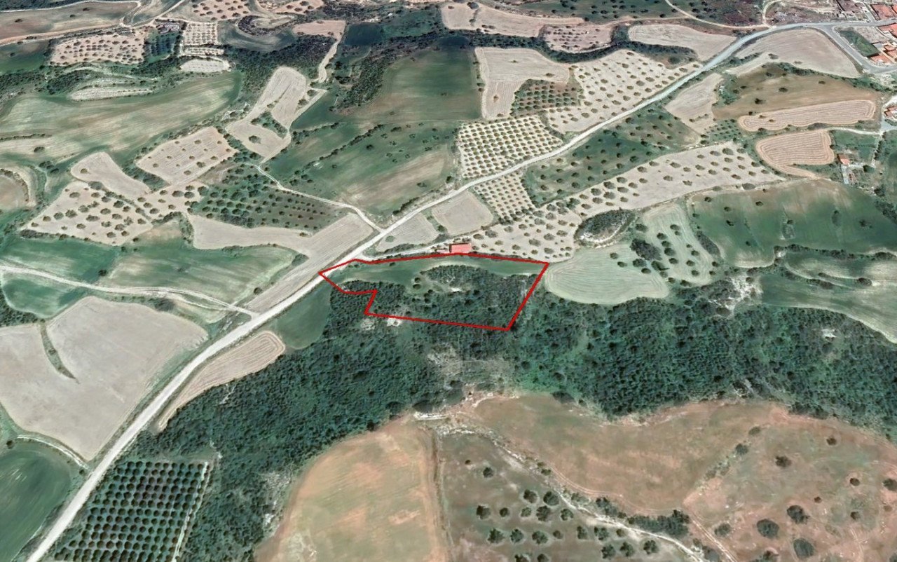 Land in Alaminos, Larnaca