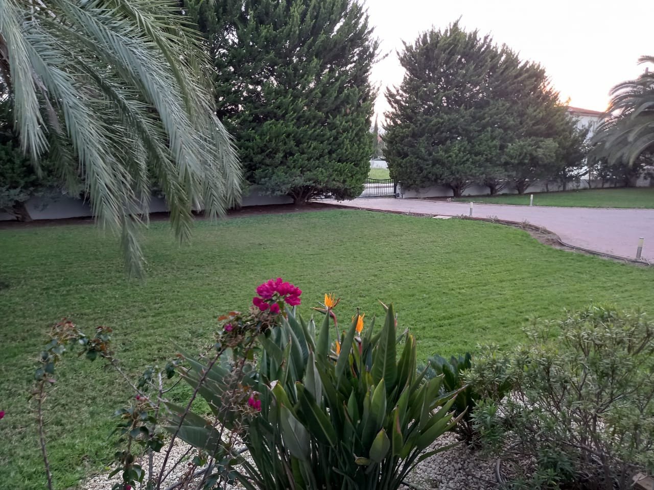 3 Bedrooms House / Villa in Strovolos, Nicosia