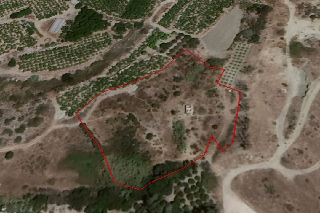 Land in Kissonerga, Paphos