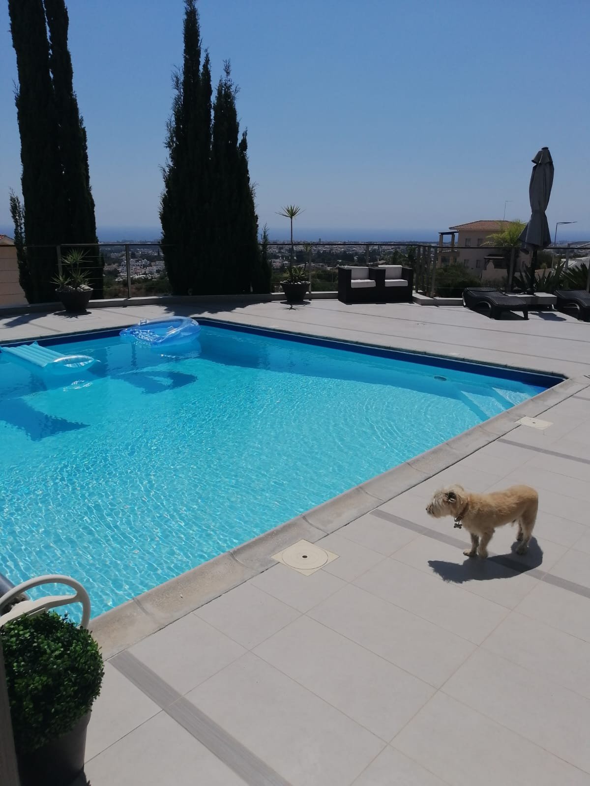 3 Bedrooms House / Villa in Geroskipou, Paphos