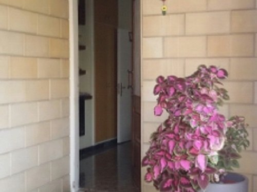 3 Bedrooms House / Villa in Katholiki, Limassol