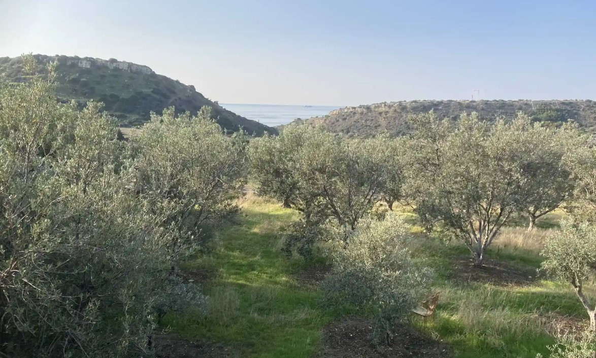 Land in Agios Tychonas, Limassol