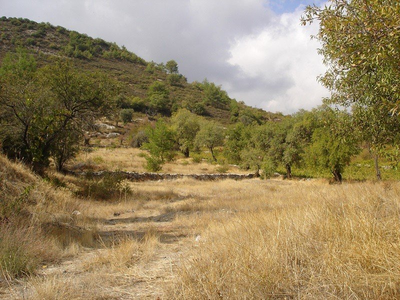 Land in Pera Pedi, Limassol