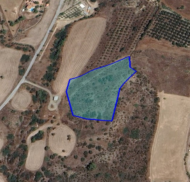 Land in Pareklissia, Limassol