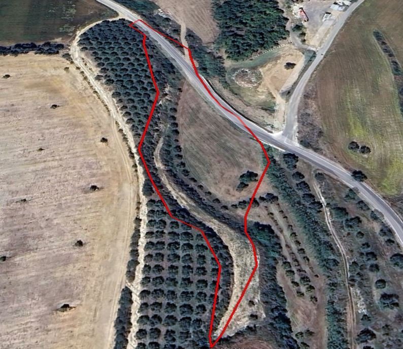 Land in Polis, Paphos