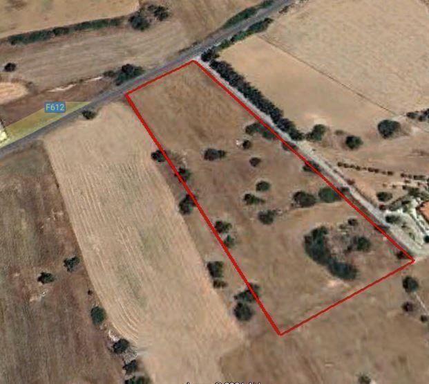 Land in Kouklia, Paphos