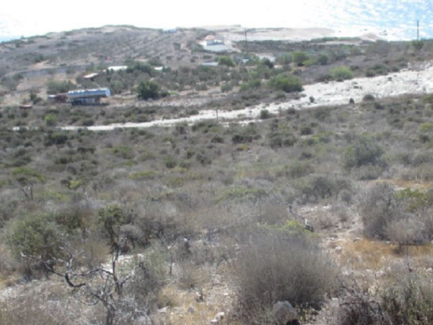 Land in Pentakomo, Limassol