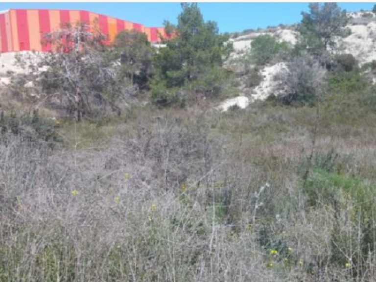 Land in Monagroulli, Limassol