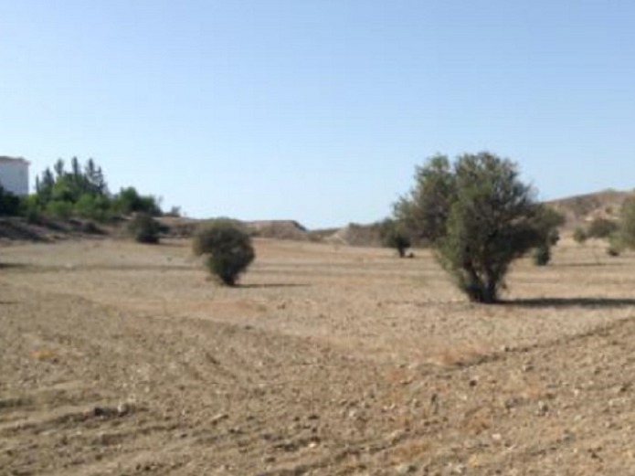 Land in Latsia, Nicosia
