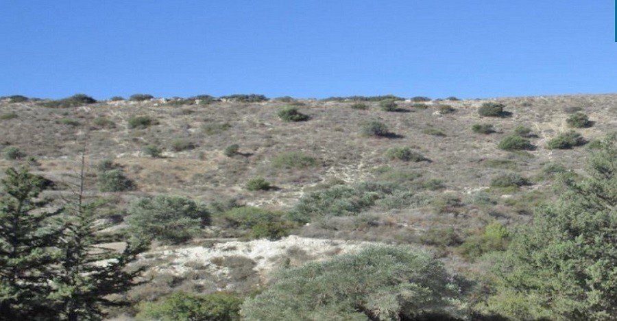 Land in Monagroulli, Limassol