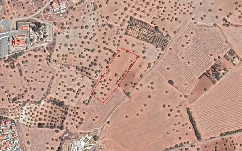 Land in Mazotos, Larnaca