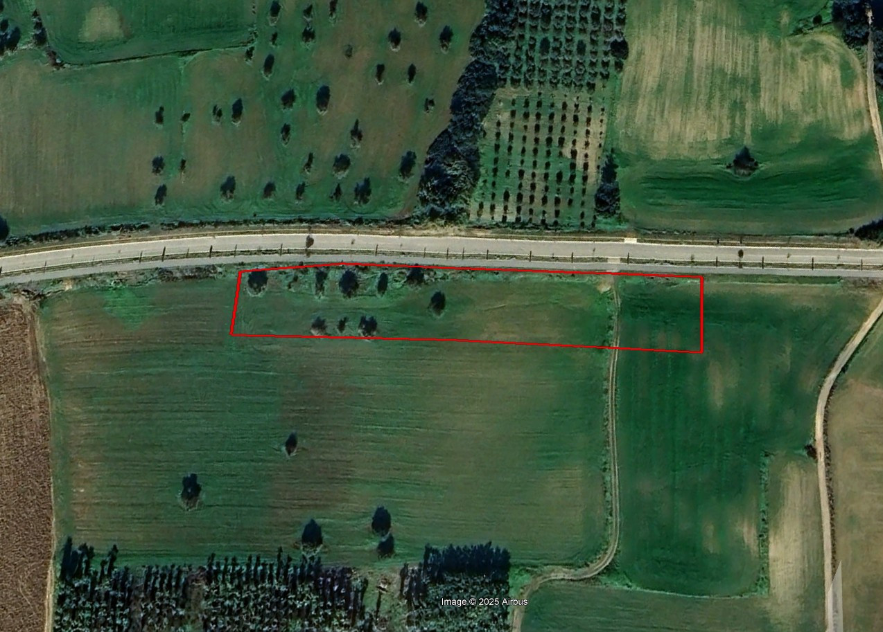 Land in Mazotos, Larnaca