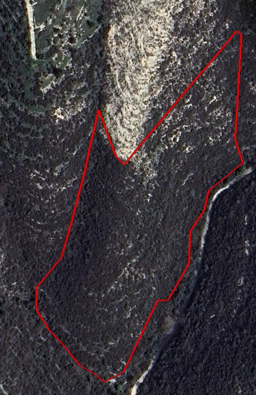 Land in Tsada, Paphos