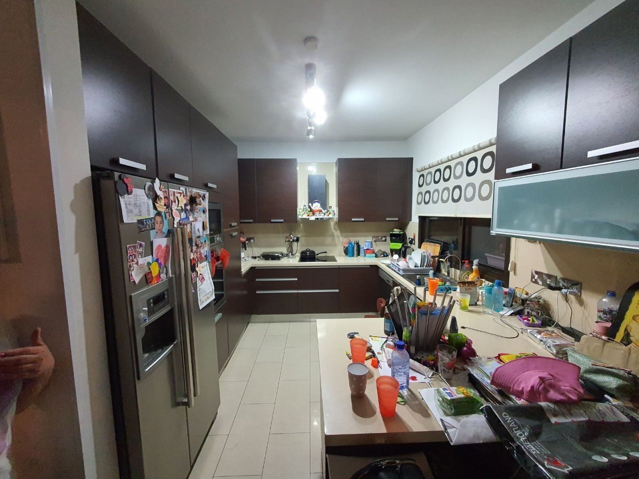 4 Bedrooms House / Villa in Palodia, Limassol