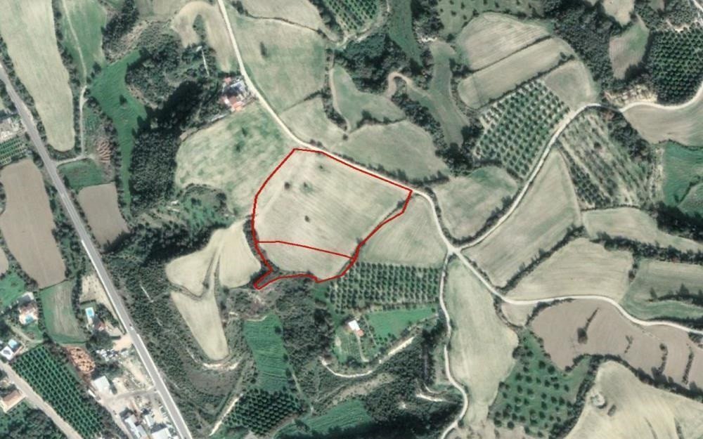 Land in Paphos, Paphos