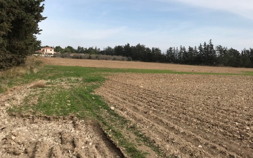 Land in Meneou, Larnaca