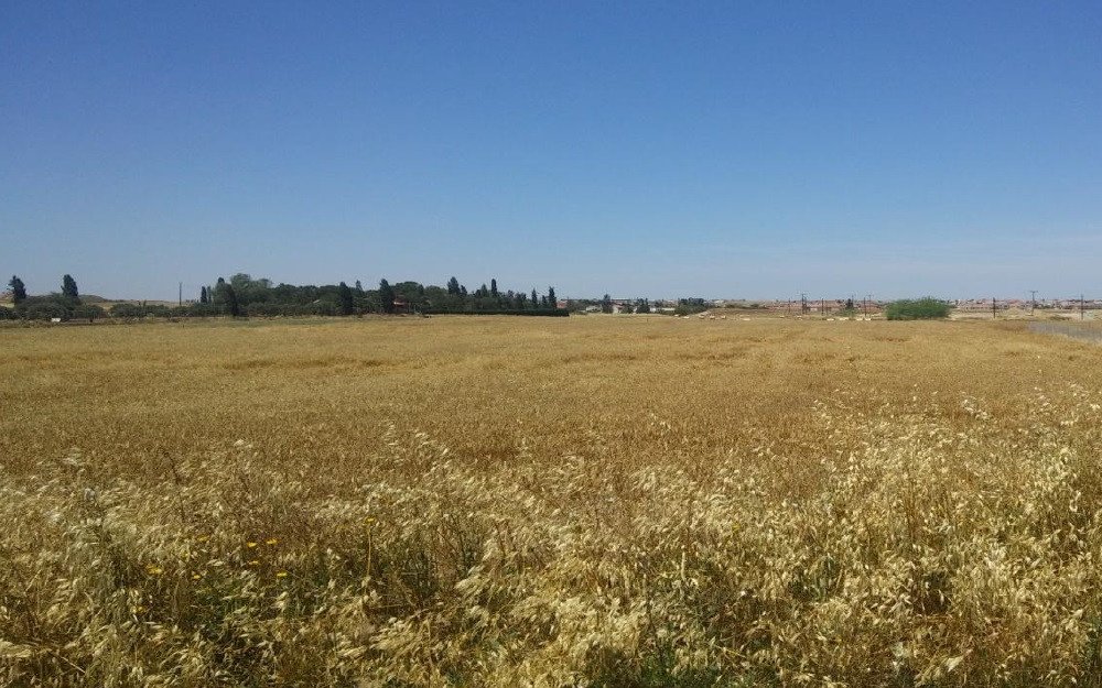 Land in Latsia, Nicosia