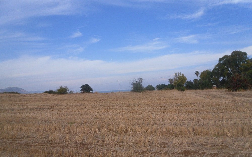 Land in Polis, Paphos
