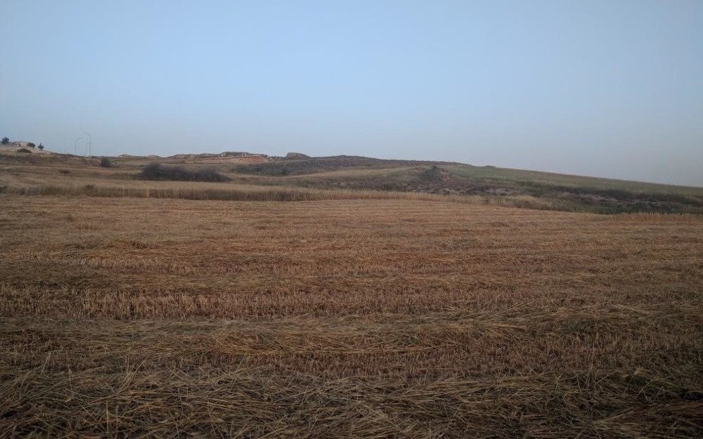 Land in Dali, Nicosia