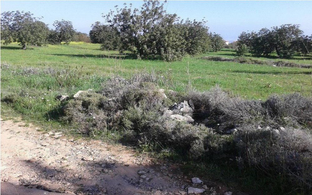 Land in Souni, Limassol