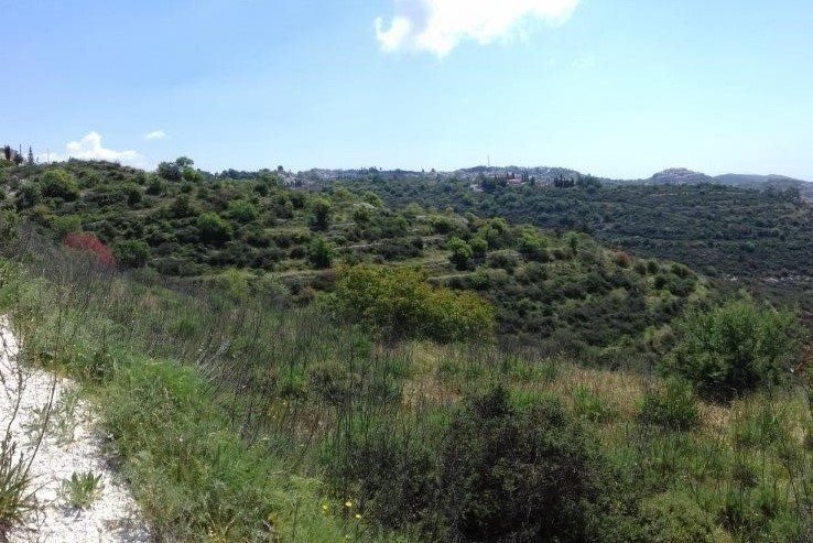 Land in Tsada, Paphos