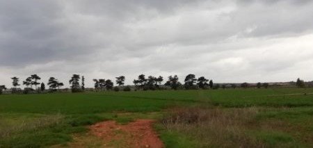 Land in Liopetri, Famagusta