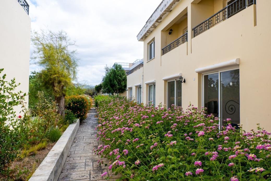 50 + Bedrooms Hotel in Polis, Paphos