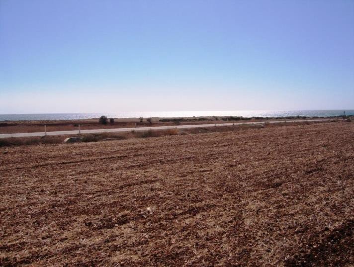 Land in Alaminos, Larnaca
