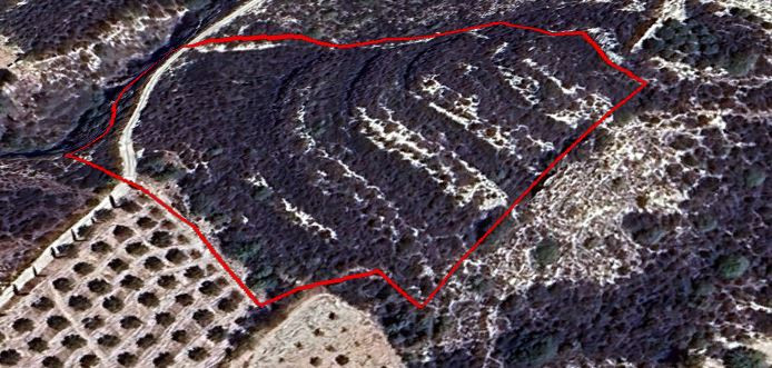 Land in Mesogi, Paphos