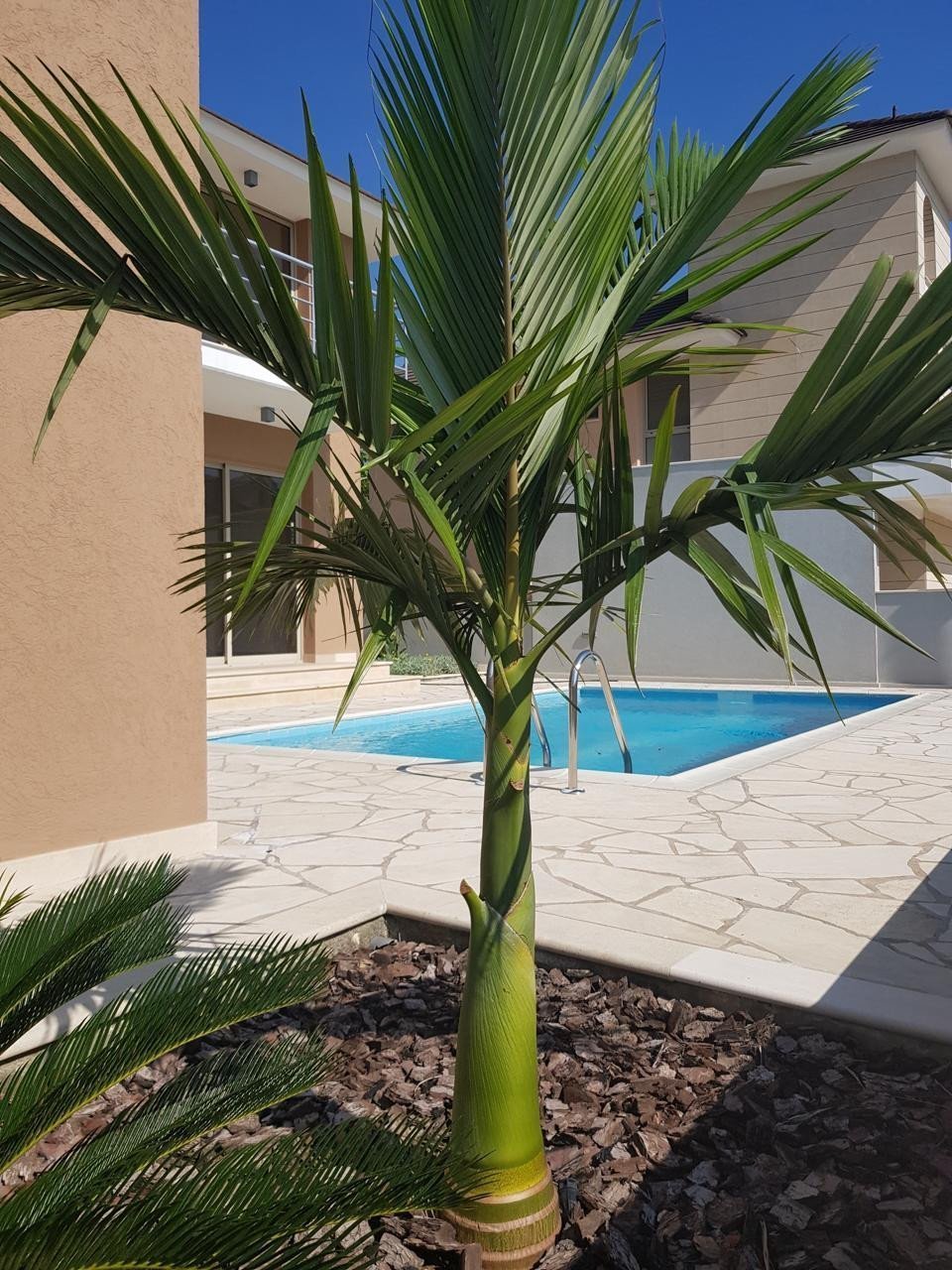 4 Bedrooms House / Villa in Saint Raphael Area, Limassol