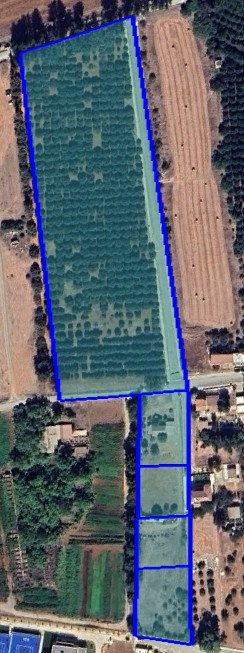 Land in Zakaki, Limassol