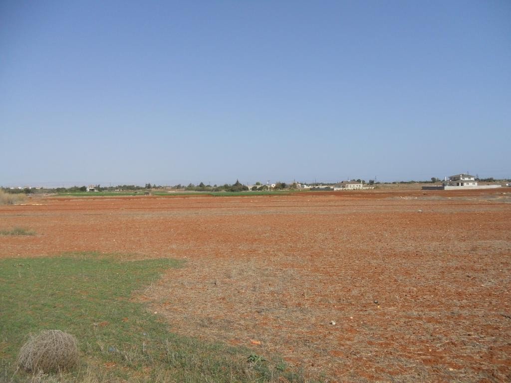 Land in Frenaros, Famagusta