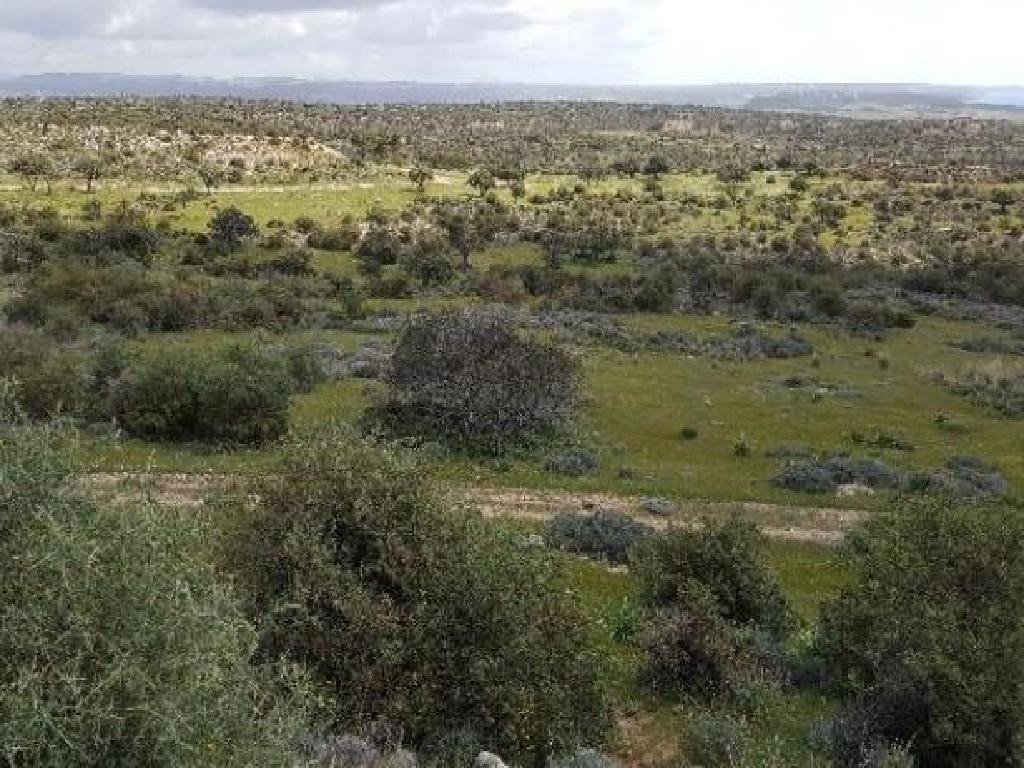 Land in Pissouri, Limassol
