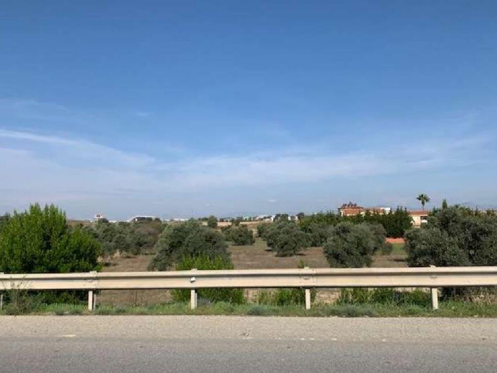 Land in Latsia, Nicosia
