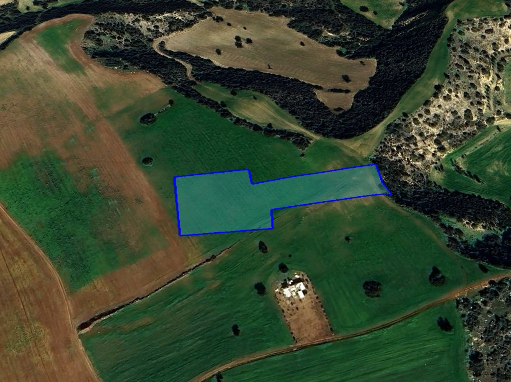 Land in Agios Theodoros, Larnaca