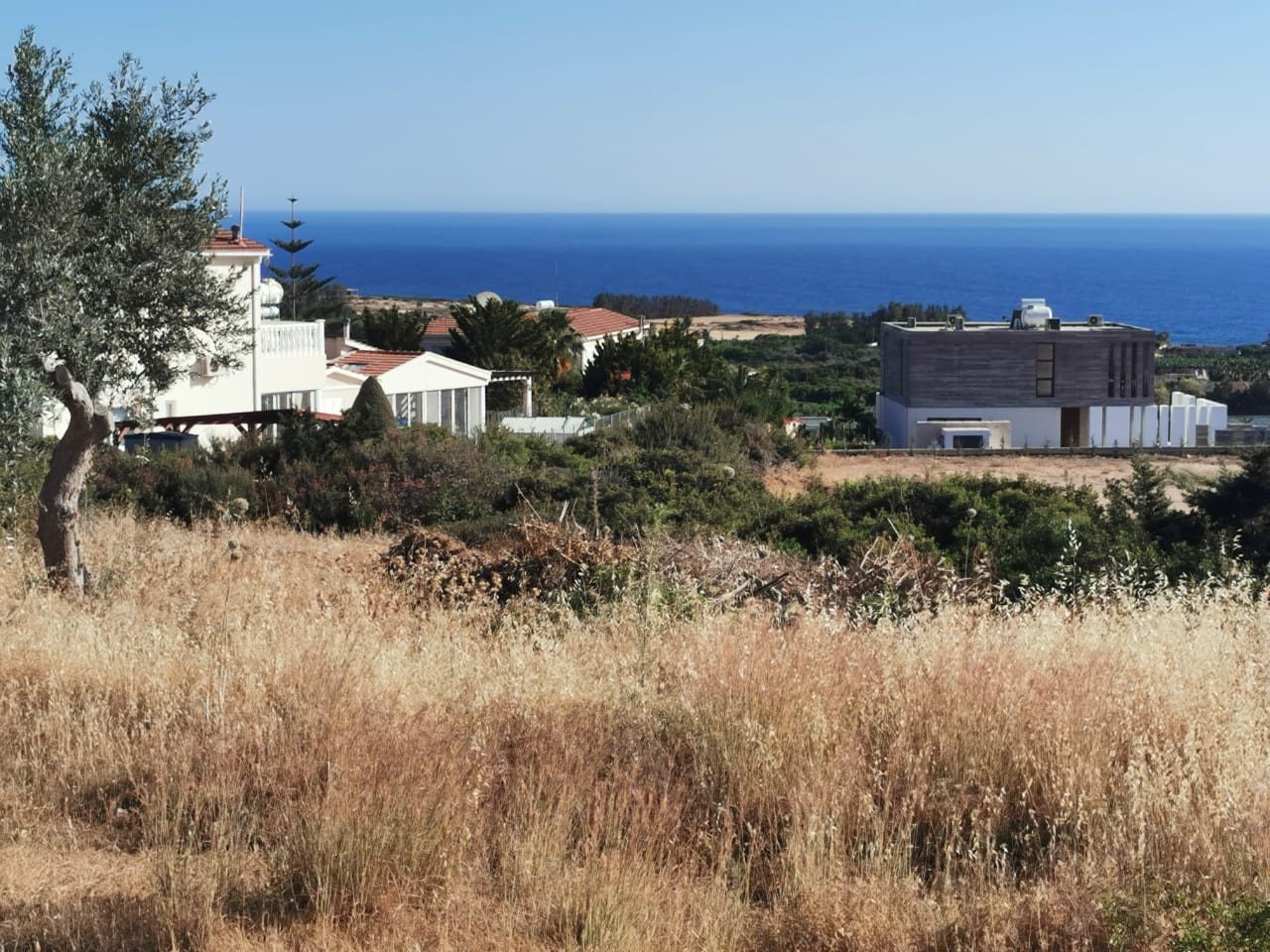 Land in Peyia, Paphos