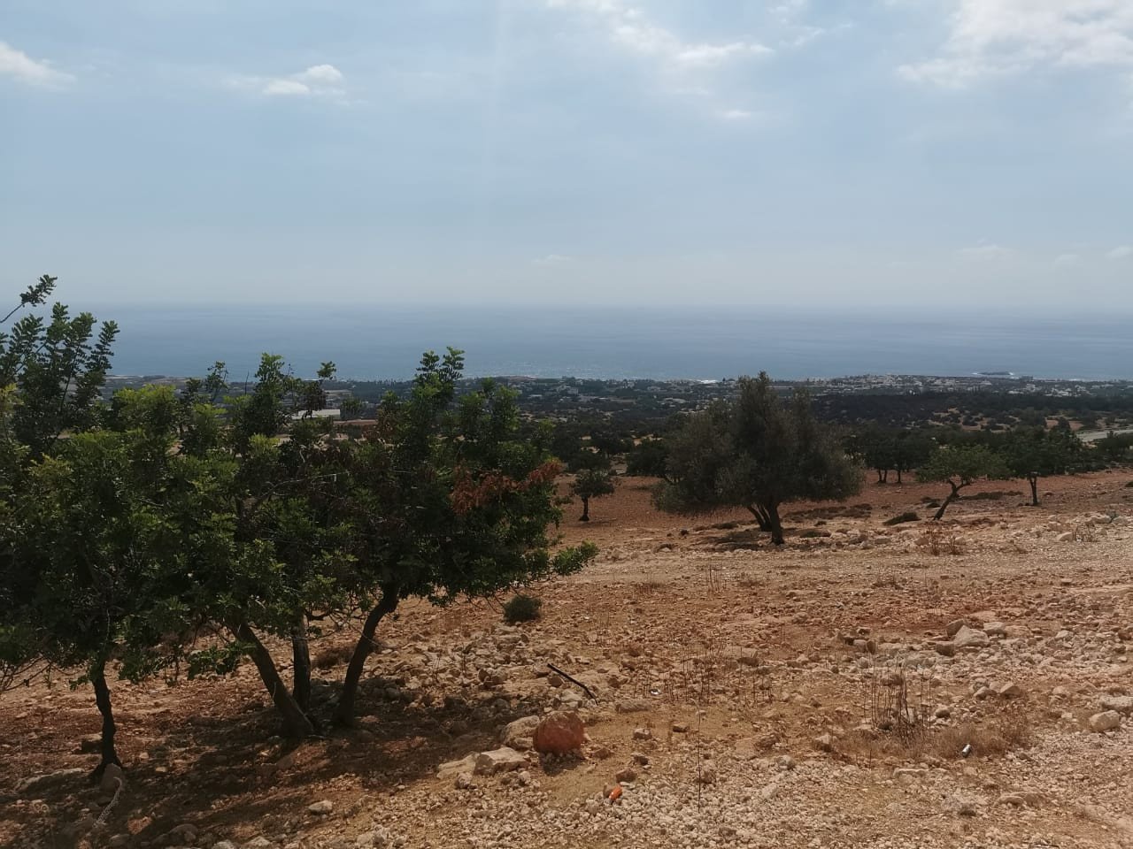 Land in Saint Georges, Paphos