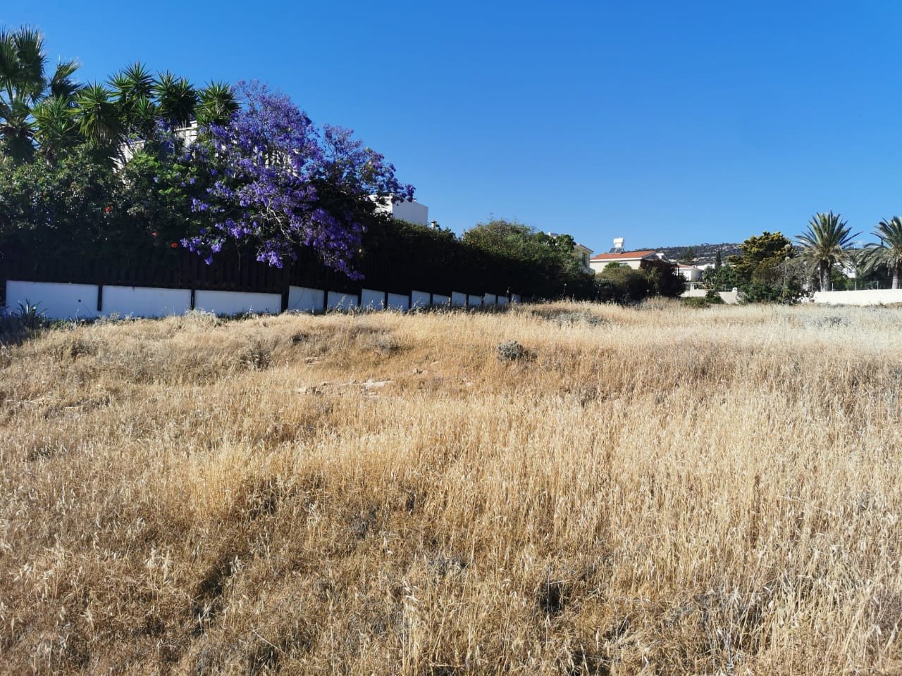 Land in Peyia, Paphos