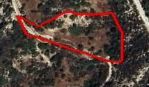 Land in Peyia, Paphos