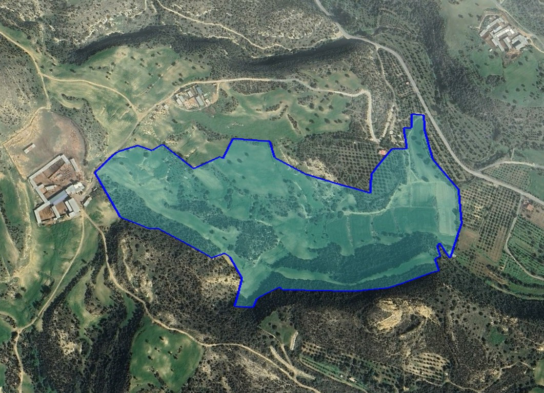 Land in Agios Theodoros, Larnaca