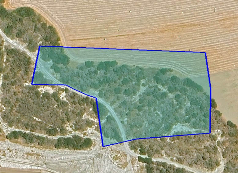 Land in Pyrgos, Limassol