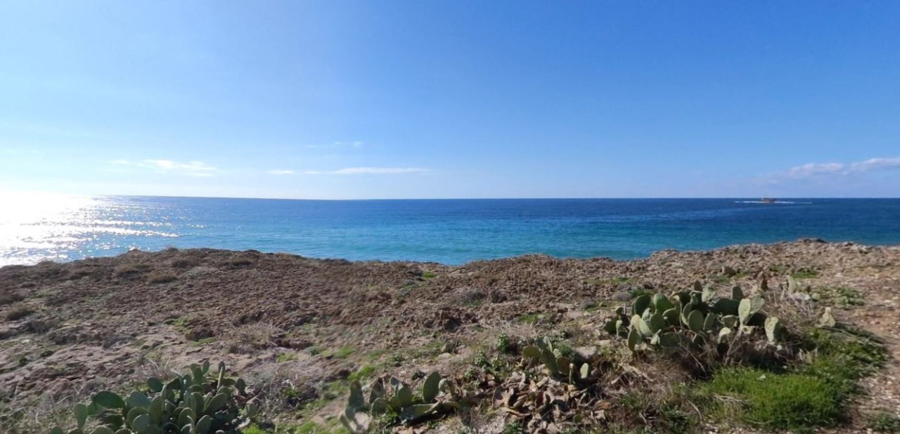 Land in Chlorakas, Paphos