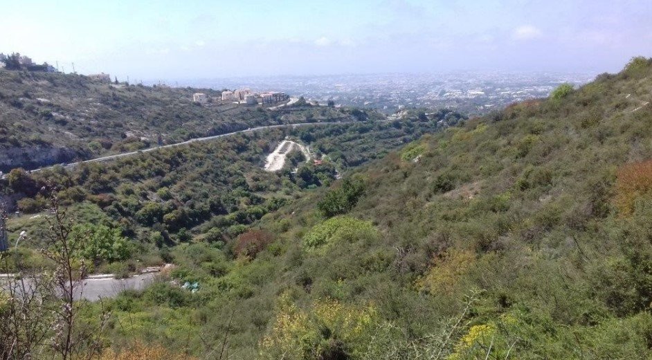 Land in Tsada, Paphos