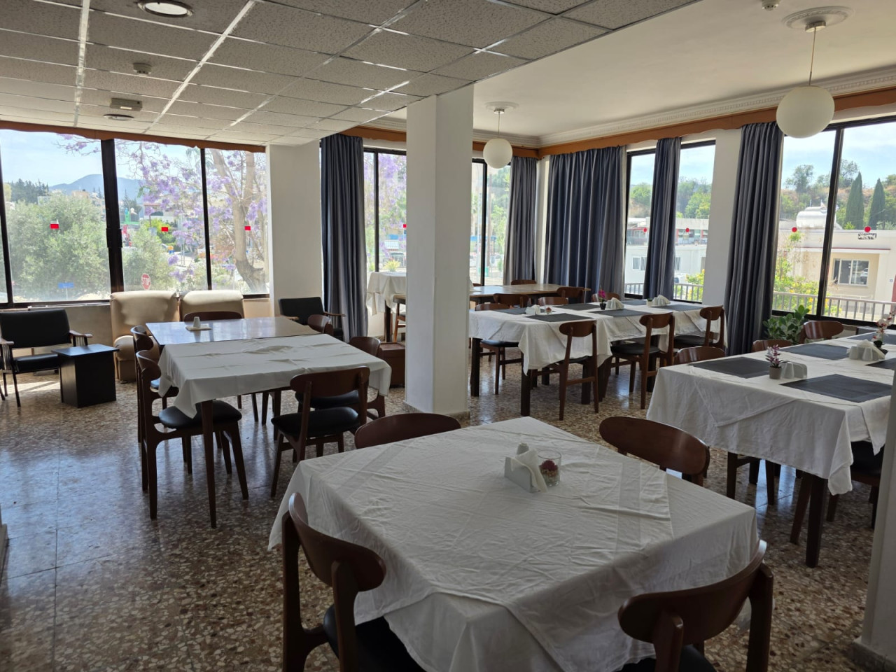 50 + Bedrooms Hotel in Polis, Paphos